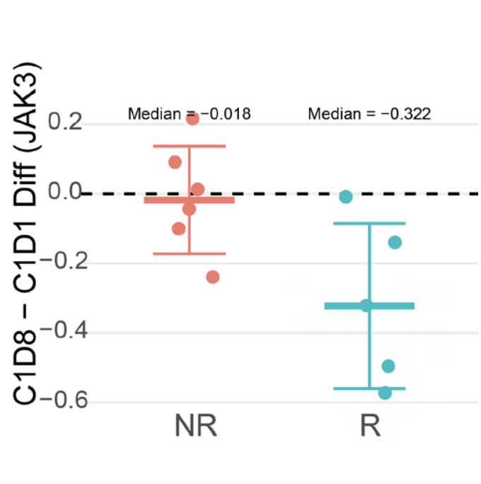 JAK3 protein differences in nonresponders and responders.
